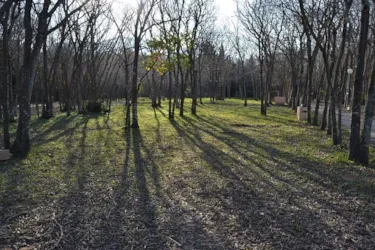 Camping Les Micocouliers - image n°3 - Camping Direct