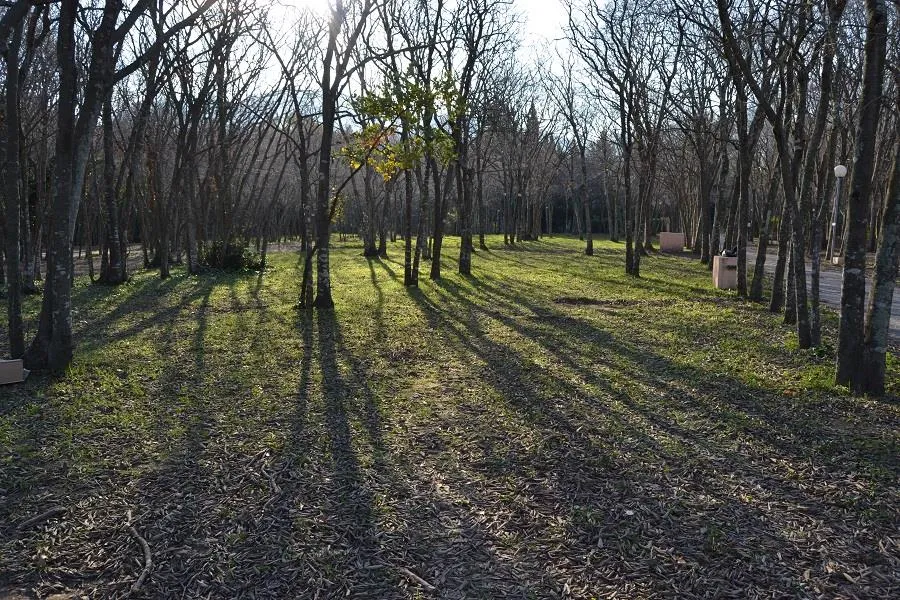 Camping Les Micocouliers