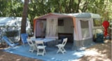 Forfait Confort (Emplacement Caravane Ou Tente + 1 Voiture + Branchement Électrique 6 Amp) Forfait Confort (Emplacement Caravane Ou Tente + 1 Voiture + Branchement Électrique 6 Amp)