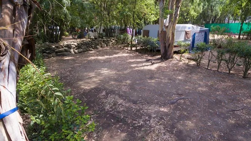 Forfait Confort (Emplacement Caravane Ou Tente + 1 Voiture + Branchement Électrique 6 Amp)