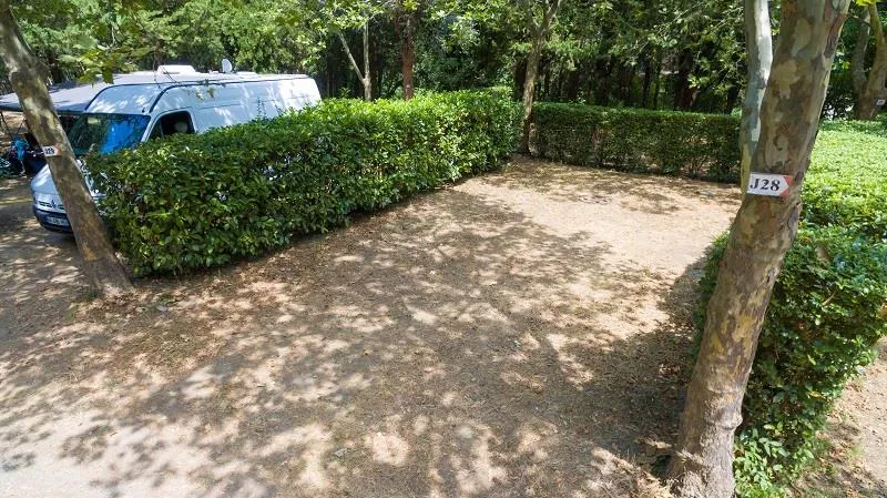 Forfait Confort (Emplacement Caravane Ou Tente + 1 Voiture + Branchement Électrique 6 Amp)