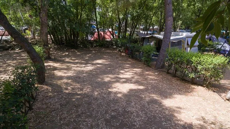 Forfait Confort (Emplacement Caravane Ou Tente + 1 Voiture + Branchement Électrique 6 Amp)