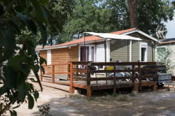 Mietunterkunft - Chalet Confort Behindertengerechtes - Camping Les Micocouliers