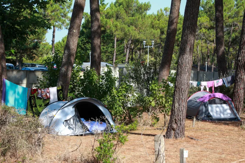 Forfait: Emplacement + 2 Personnes + 1 Voiture + Électricité 10A