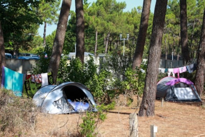 Package: Pitch + 2 people + 1 Car + Electricity 10A