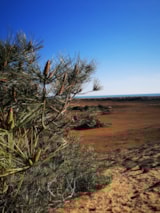 Foto #53 van Camping Ushuaïa Villages La Conge