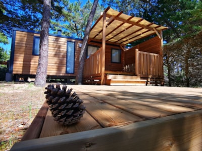 Mobil Home Modulo DUO BOIS 2 bedrooms 29m² (collection 2021) covered wooden terrace