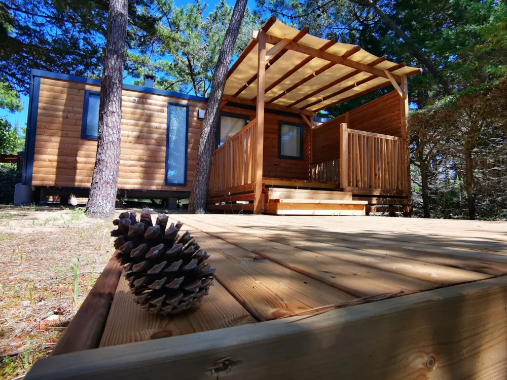 MH Modulo DUO BOIS 2 chambres 29 m² (année 2021) terrasse bois couverte et terrasse bois solarium