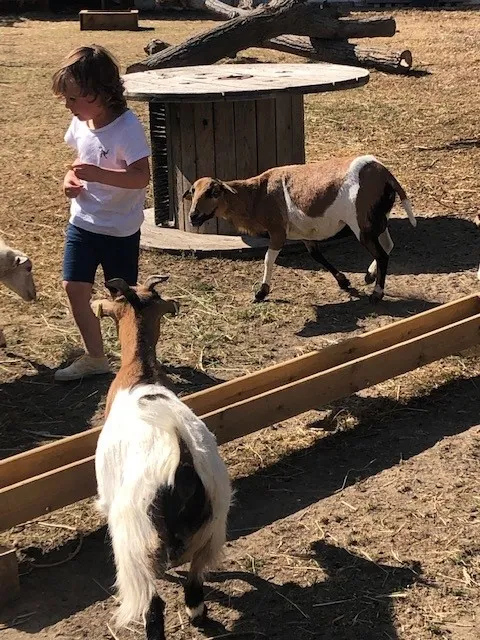 Camping Ushuaïa Villages La Conge