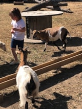 Foto #62 van Camping Ushuaïa Villages La Conge