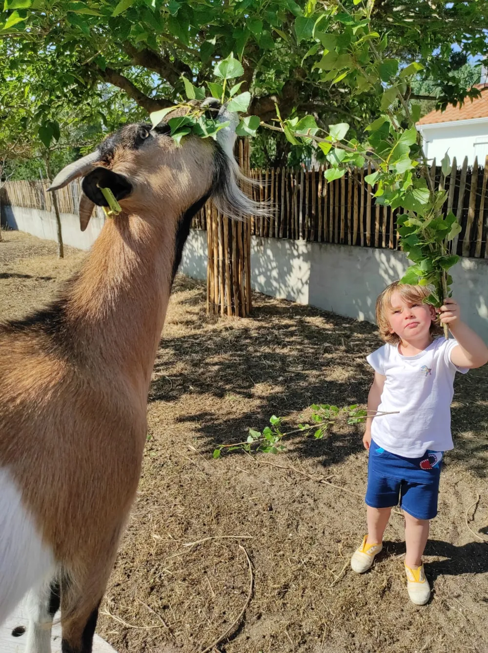 Camping Ushuaïa Villages La Conge