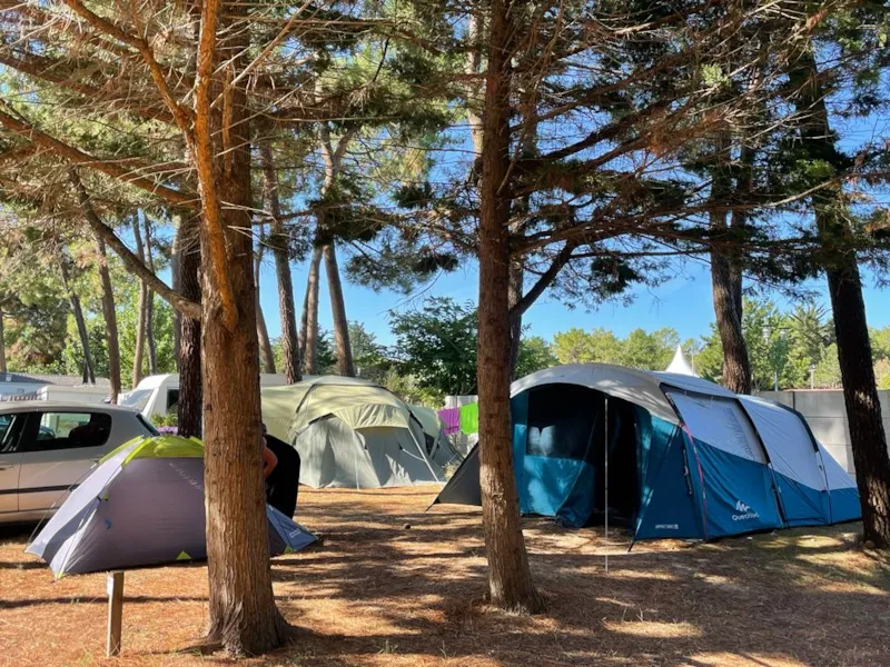 Forfait: Emplacement + 2 Personnes + 1 Voiture + Électricité 10A