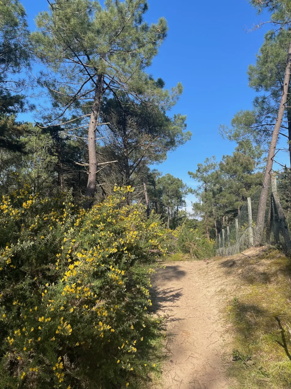 Camping Ushuaïa Villages La Conge