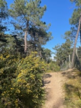 Foto #65 van Camping Ushuaïa Villages La Conge