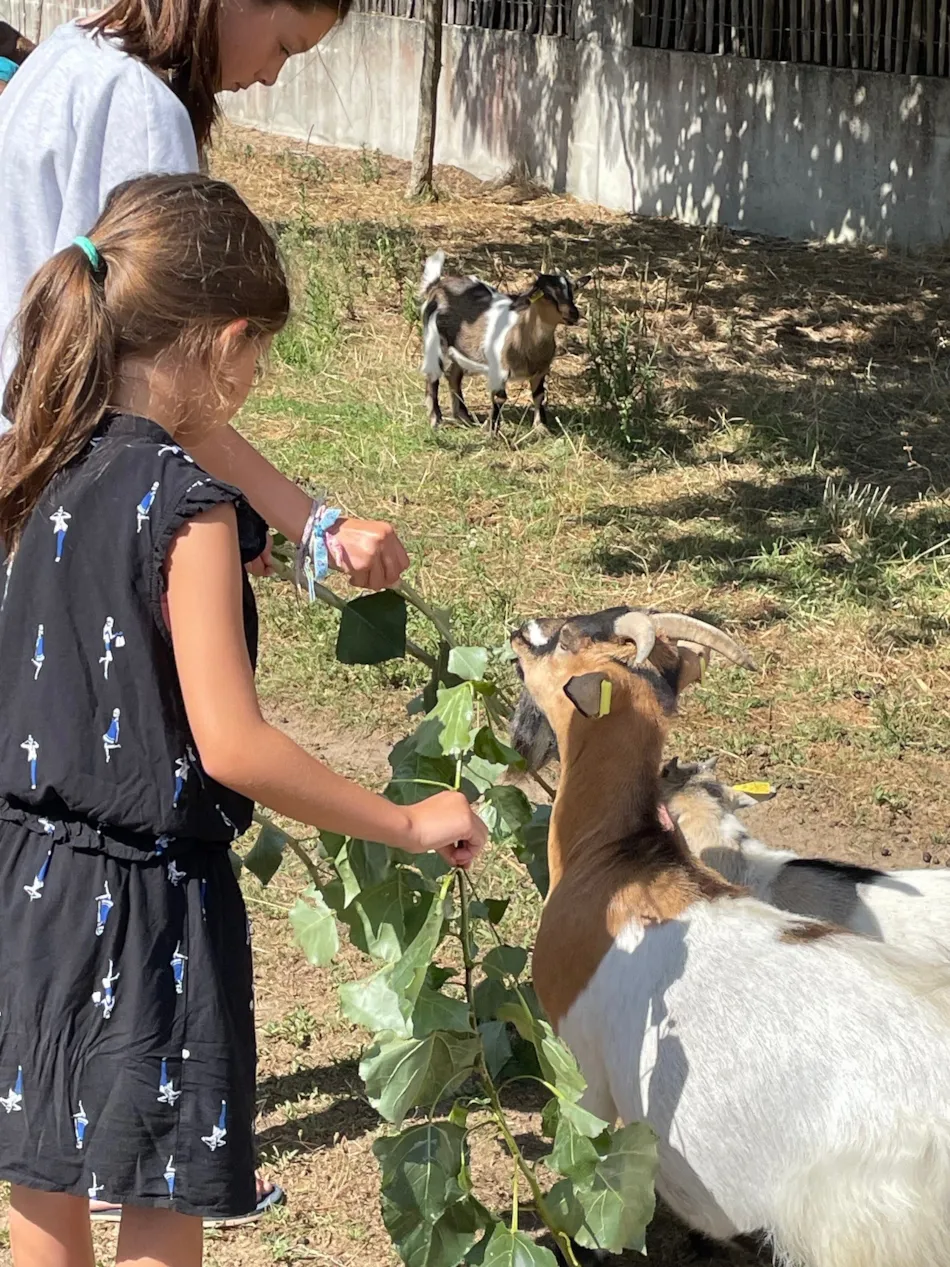 Camping Ushuaïa Villages La Conge