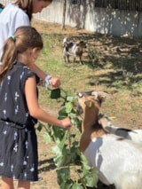 Foto #66 van Camping Ushuaïa Villages La Conge