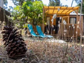 Mietunterkunft - Mobil Home Modulo Duo Bois 2 Zimmer 29M² (2021) Überdachte Holzterrasse - Camping Ushuaïa Villages La Conge