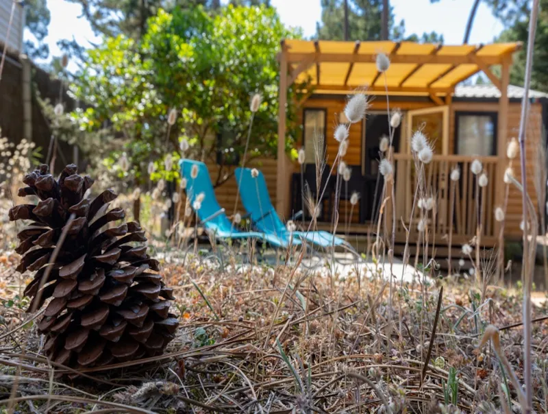 Mh Modulo Duo Bois 2 Chambres 29 M² Quartier Piéton - Terrasse Bois Couverte Et Solarium