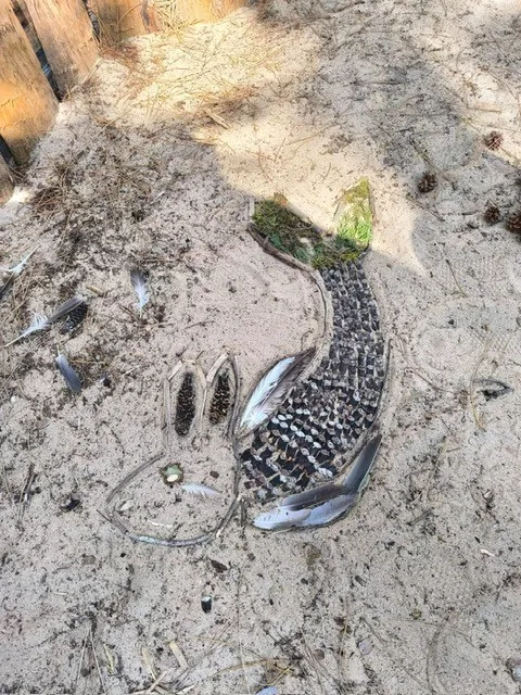 Ushuaïa Villages - Camping la Conge ***