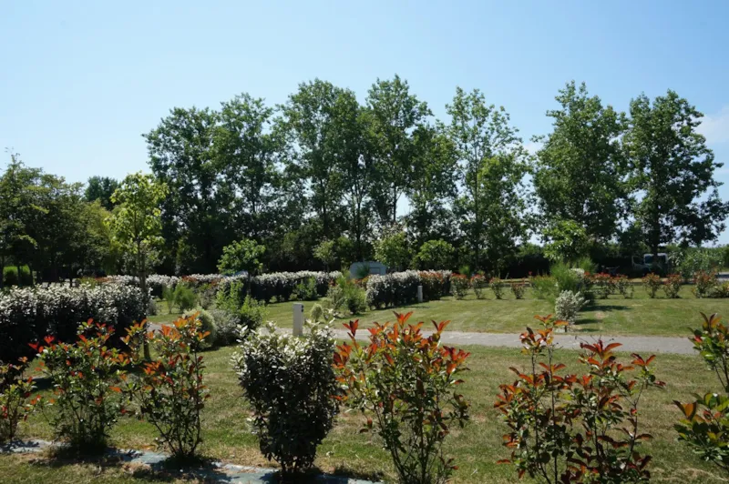 Emplacement Avec Électricité À La Nuitée