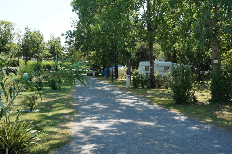 Emplacement Avec Électricité À La Nuitée