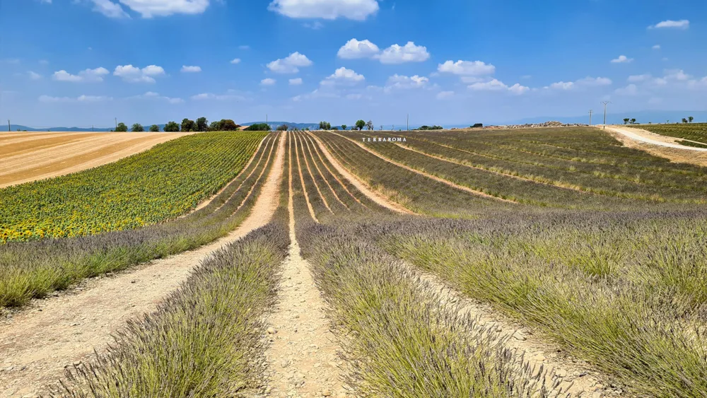 Camping Tikayan Oxygène - image n°48 - UniversalBooking