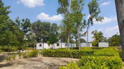 Pitches for tents, caravans or motorhomes — 4