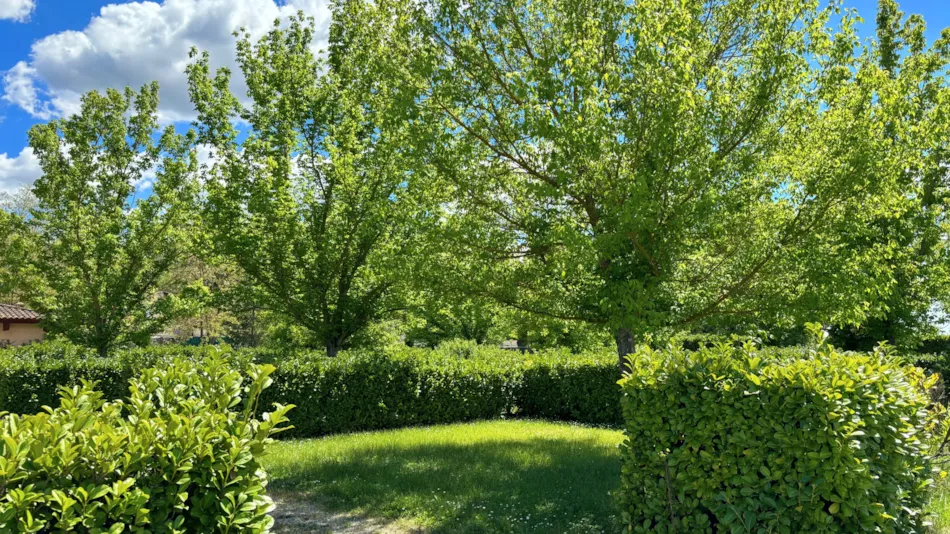 Camping Tikayan Oxygène