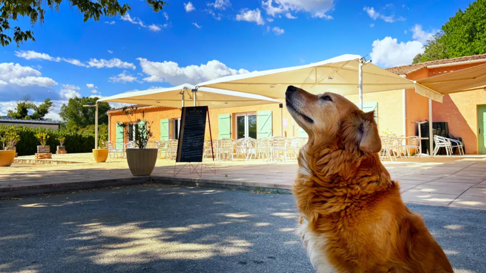 Camping Tikayan Oxygène - image n°22 - UniversalBooking