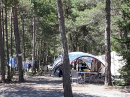 Kampeerplaats(en) - Pakket: Standplaats + 1 Voertuig + Tent Of Caravan - Camping Rioclar