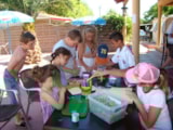 Foto #37 van Camping Cap Sud