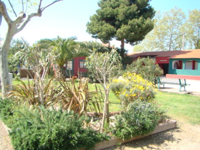 Camping Cap Sud