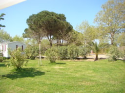 Camping Cap Sud - image n°3 - Roulottes