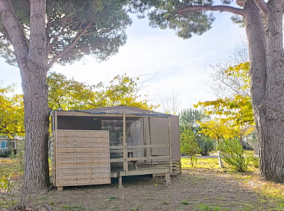 Tent Maori (without toilet blocks) — 3