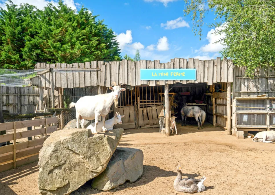 Camping Paradis La Grand'Métairie****