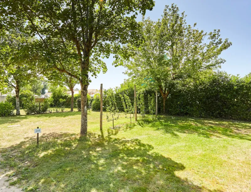 Forfait Confort (1 Tente, Caravane Ou Camping-Car / 1 Voiture / Électricité 10A)