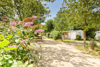 Mobile-home Comfort 23m² - 2 bedrooms)