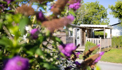 Cottage Premium (1 bedroom)
