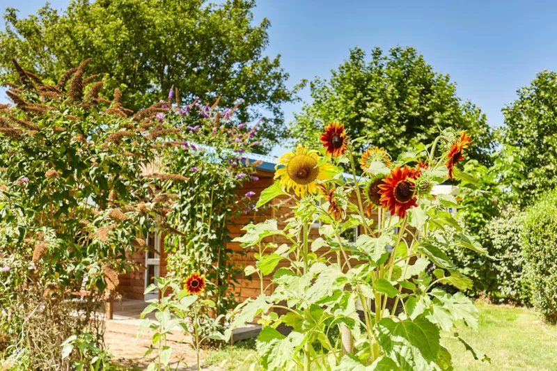 Cottage Confort 2 Chambres - 4 Pers