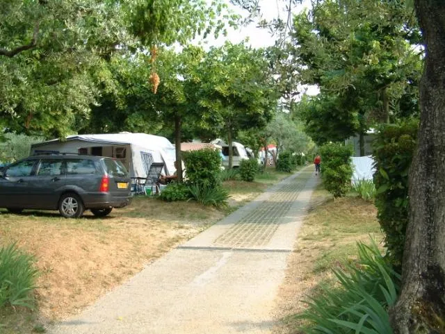 Pitch 60m², 1 car, tent , caravan or camping-car, electricity