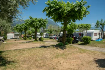 Emplacement - Emplacement 60M², 1 Voiture, Tente, Caravane Ou Camping-Car, Électricité - Camping Eden