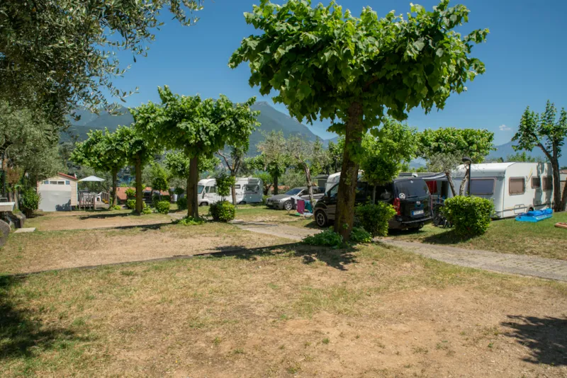 Emplacement 60M², 1 Voiture, Tente, Caravane Ou Camping-Car, Électricité