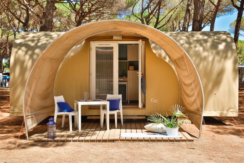 Tenda Coco Sweet
