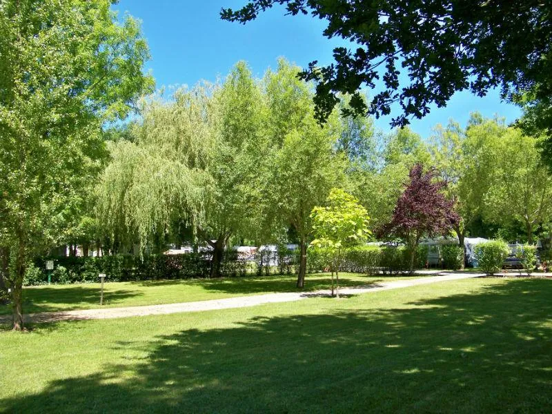 Emplacement Premium : Véhicule + Tente/Caravane + Électricité + Frigo