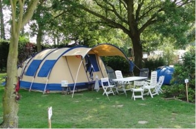 Pitch Premium : vehicle + tent or caravan + electricity
