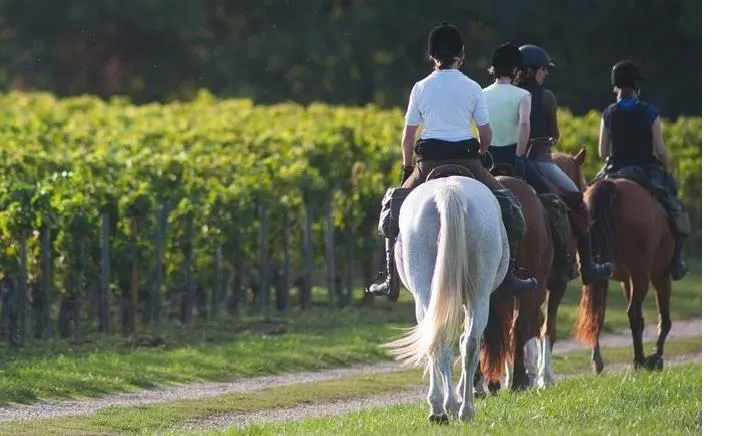 Camping les PEUPLIERS