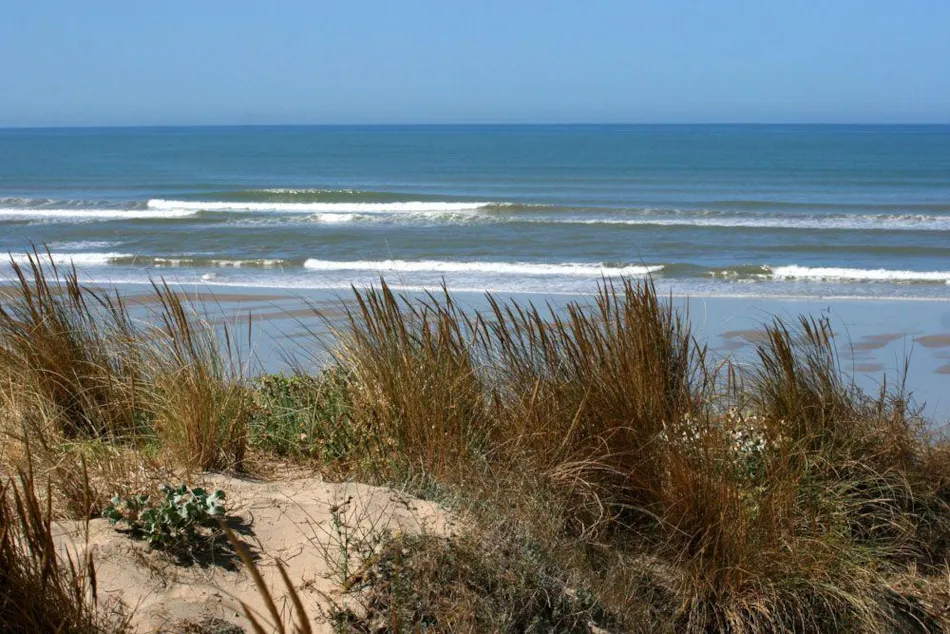 Camping les PEUPLIERS