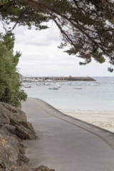 Foto #12 van Camping Mirabel Les Mielles