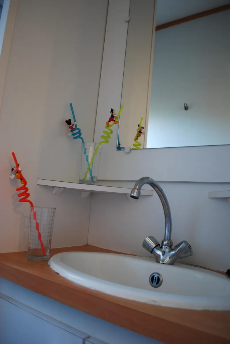 Mobil-Home Ibiza Duo Eco - 27M² - 2 Chambres