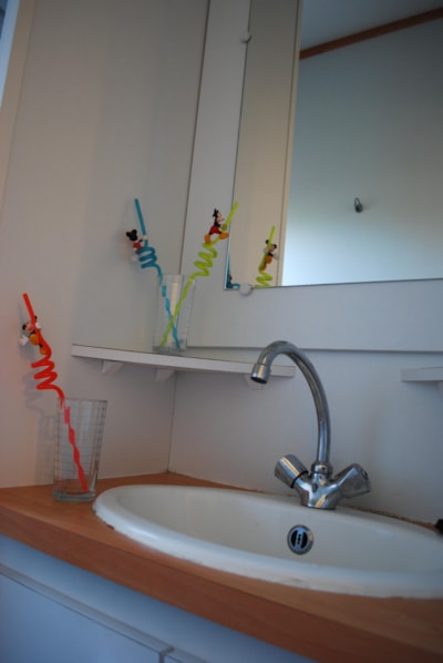 Mobile home IBIZA DUO ECO - 27m² -  2 bedrooms — 10